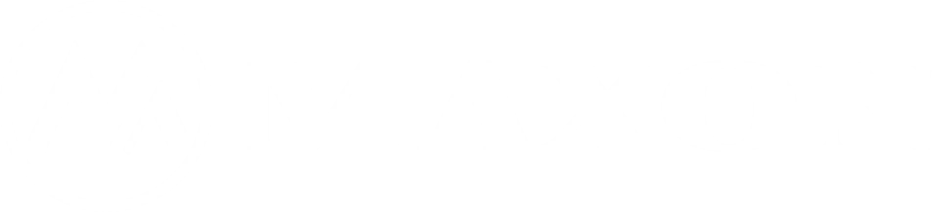 Maxon — group company